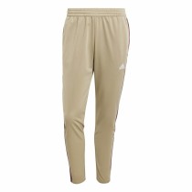 Survêtements Adidas Spw Small Logo Tricot Colorblock Beige Homme