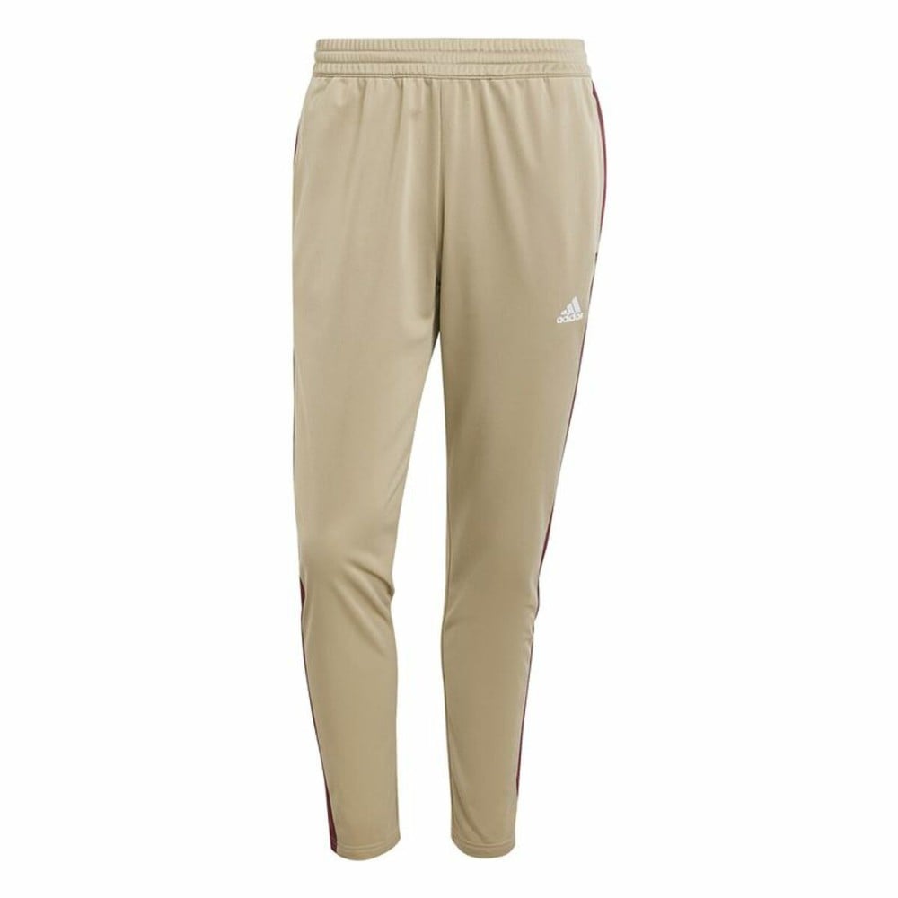 Trainingsanzug Adidas Spw Small Logo Tricot Colorblock Beige Herren