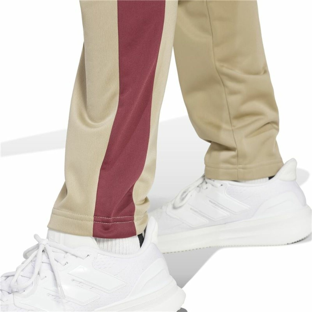 Survêtements Adidas Spw Small Logo Tricot Colorblock Beige Homme