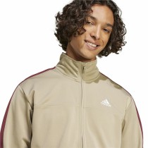 Survêtements Adidas Spw Small Logo Tricot Colorblock Beige Homme