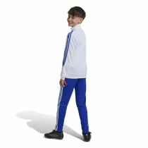 Pantalon de sport long Adidas Tiro24 Training Slim Bleu