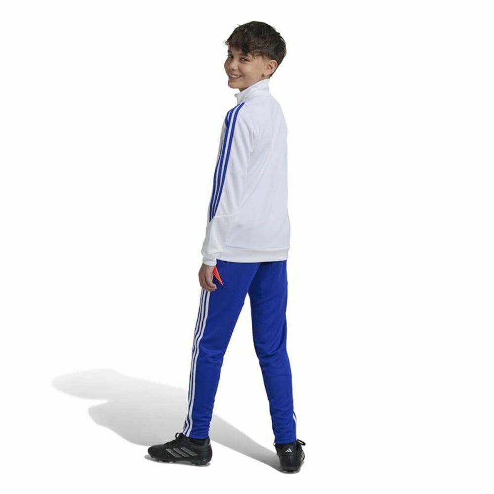 Lange Sporthose Adidas Tiro24 Training Slim Blau
