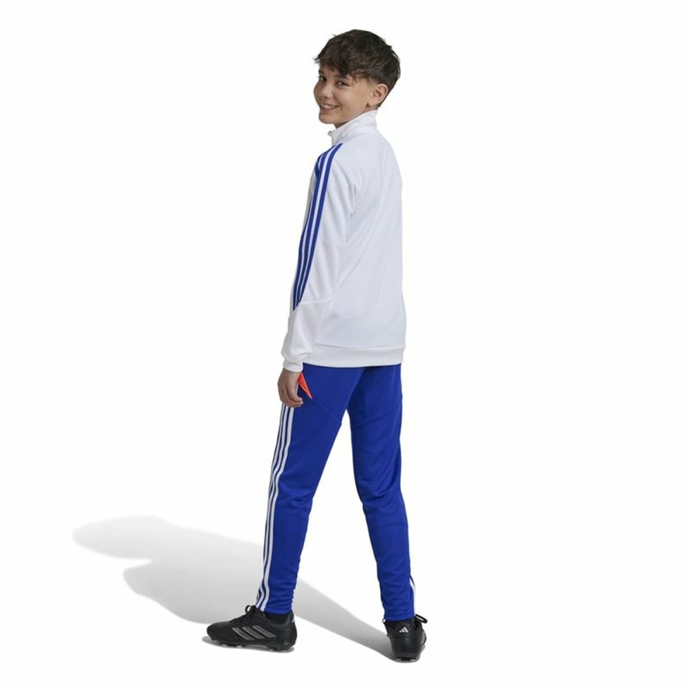 Pantalon de sport long Adidas Tiro24 Training Slim Bleu