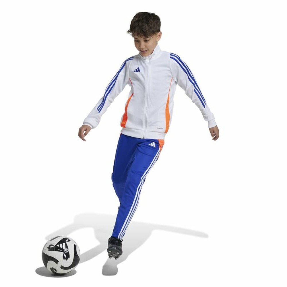 Pantalon de sport long Adidas Tiro24 Training Slim Bleu