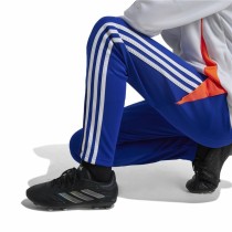 Pantalon de sport long Adidas Tiro24 Training Slim Bleu