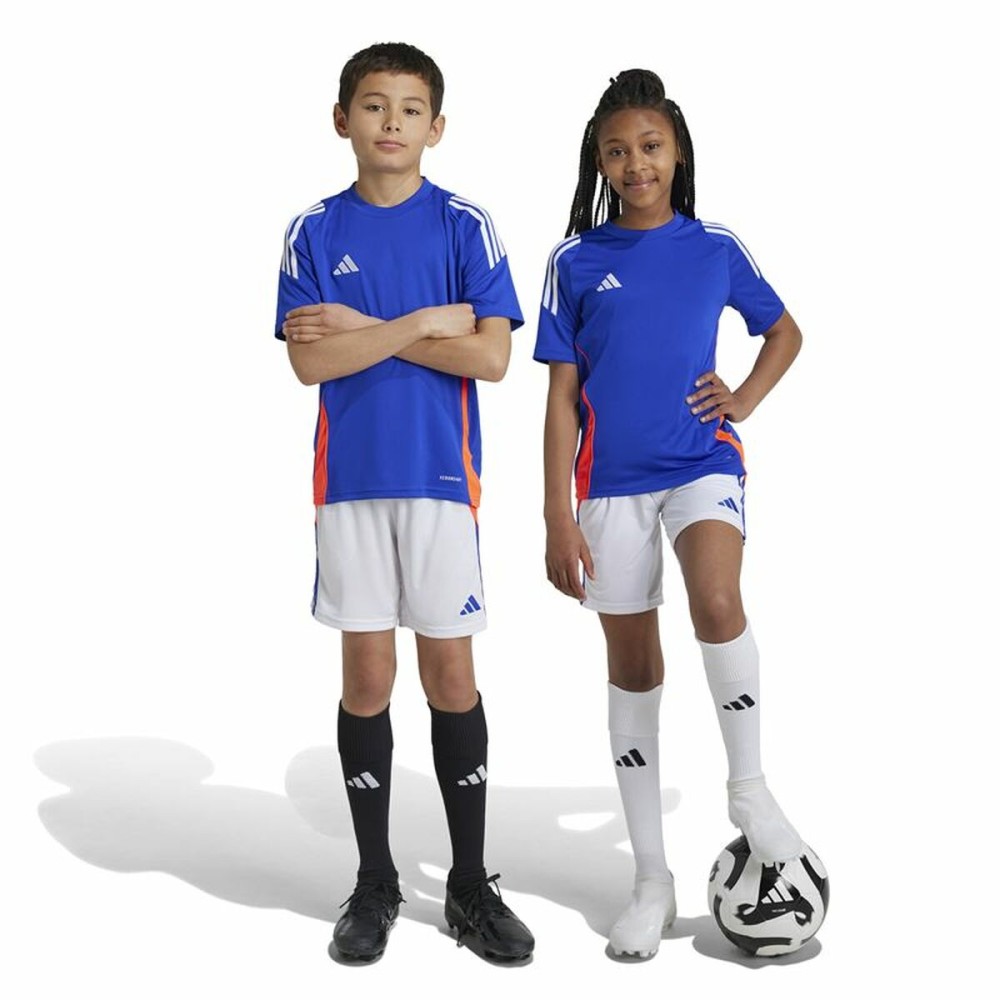 Sport Shorts Adidas Tiro24 Weiß