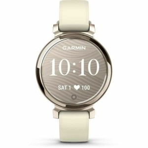 Herrenuhr GARMIN 010-02839-00 Gold