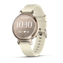 Herrenuhr GARMIN 010-02839-00 Gold
