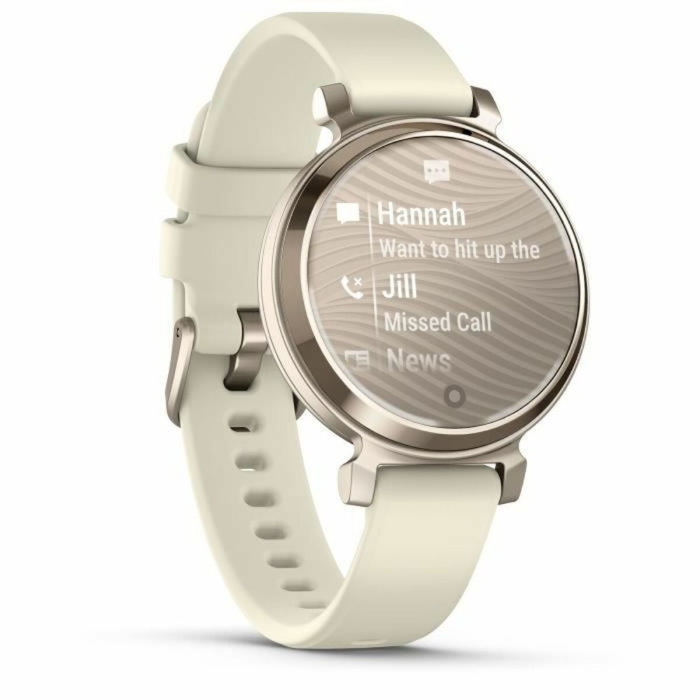 Herrenuhr GARMIN 010-02839-00 Gold