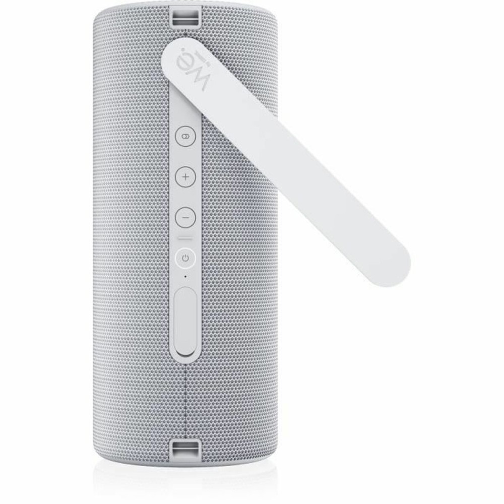 Haut-parleur portable Loewe Gris 15 W 60 W