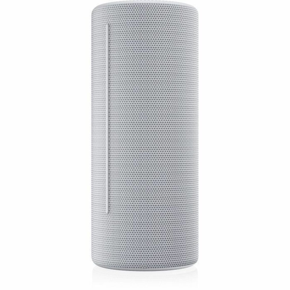 Haut-parleur portable Loewe Gris 15 W 60 W