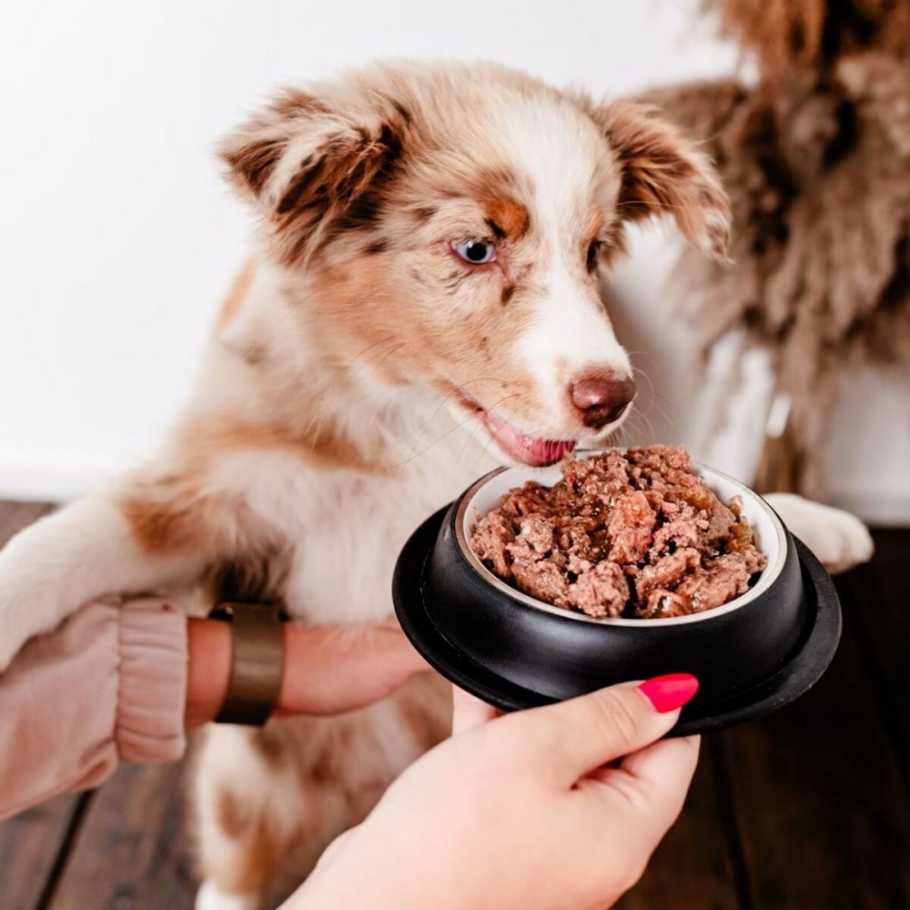 Nassfutter PERRO 400 g