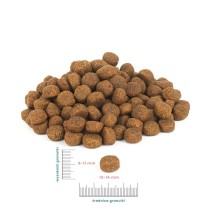 Futter PERRO Beef with lamb Medium and large breeds Rindfleisch 12 kg Erwachsener 12,7 KG