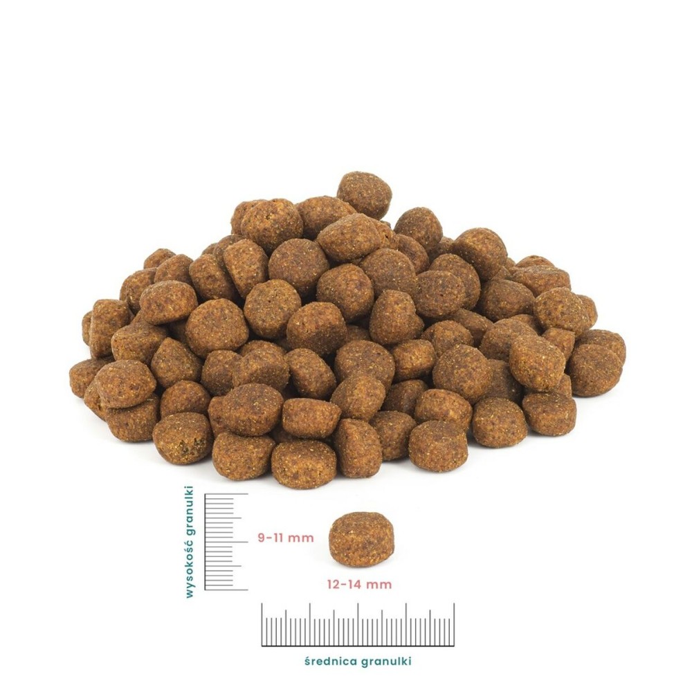 Futter PERRO Beef with lamb Medium and large breeds Rindfleisch 12 kg Erwachsener 12,7 KG