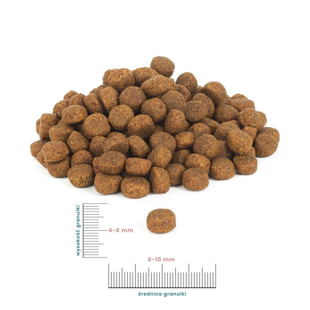 Futter PERRO Junior Beef Rindfleisch 9 kg Welpe/Junior 900 g