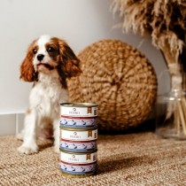 Nassfutter PERRO Junior Turkey and pumpkin Truthahn 410 g