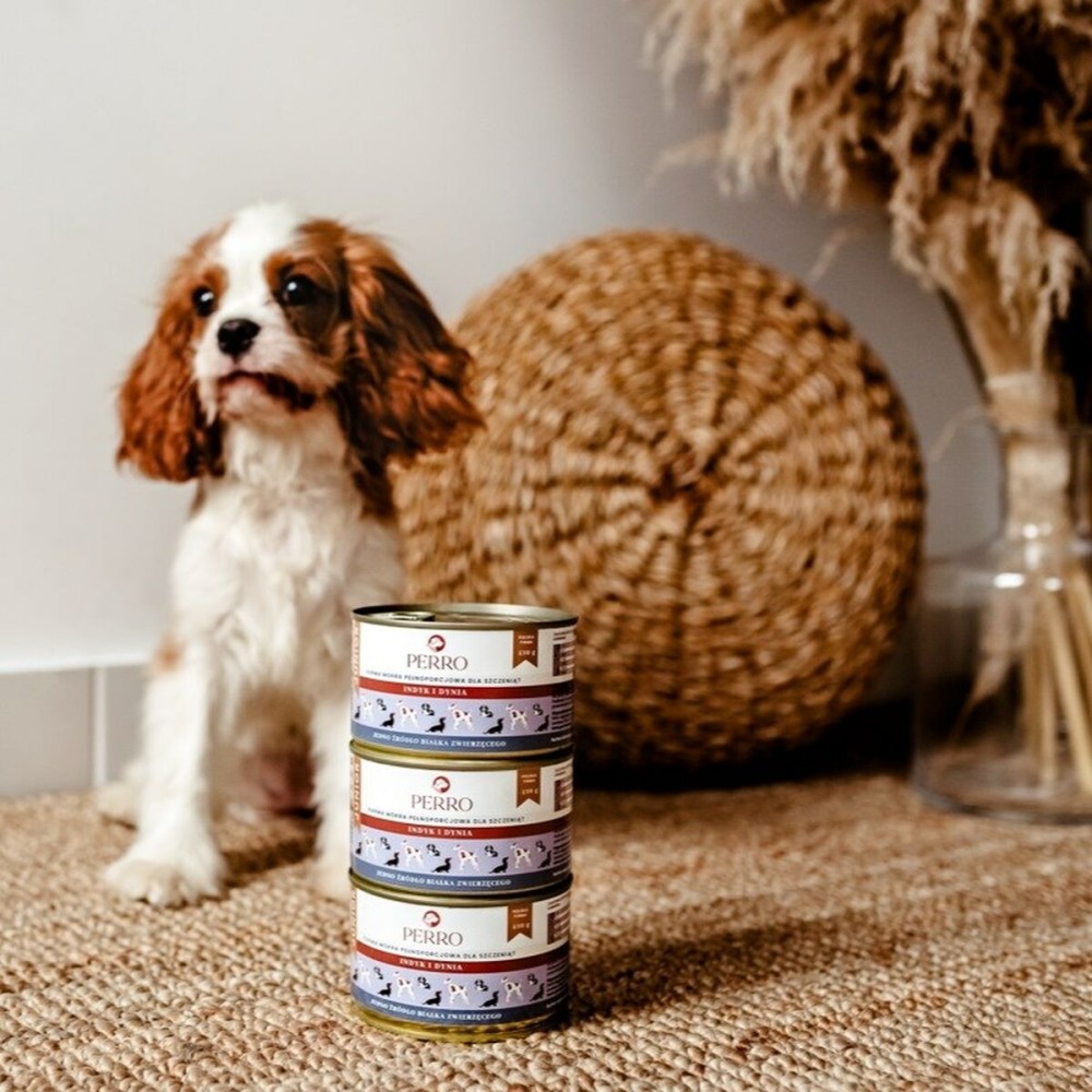 Nassfutter PERRO Junior Turkey and pumpkin Truthahn 410 g