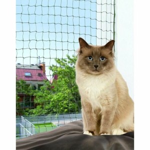 Haustiersicherheitsnetz Trixie Schwarz Nylon