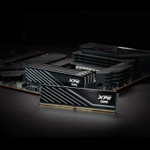 RAM Memory Adata AX5U6000C3616G-DTLABBK