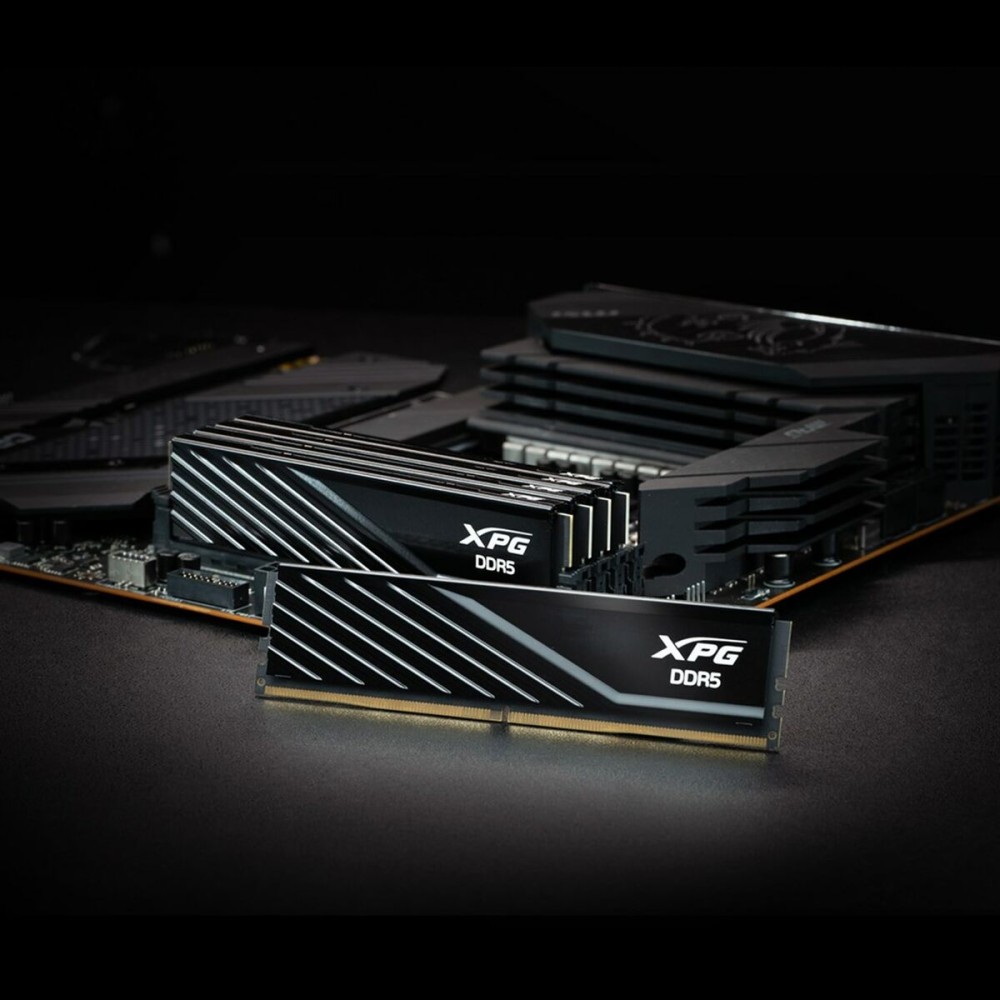 RAM Memory Adata AX5U6000C3616G-DTLABBK