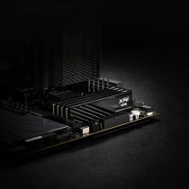 RAM Memory Adata AX5U6000C3616G-DTLABBK