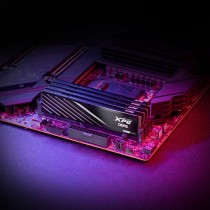 RAM Memory Adata AX5U6000C3616G-DTLABBK