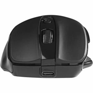 Souris Bluestork