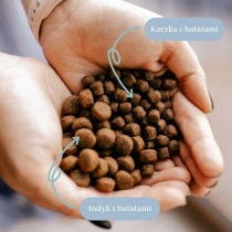 Nourriture PERRO Turkey with sweet potatoes Medium and large breeds Dinde 3 Kg Adulte 3,5 kg
