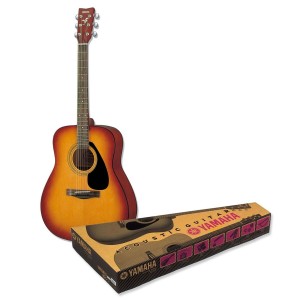Gitarre YAMAHA GF310PIITBS