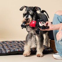 Hundespielzeug Mickey Mouse Schwarz