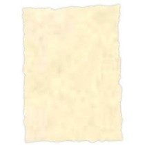 Parchment paper Michel Topaz A4 25 Pieces
