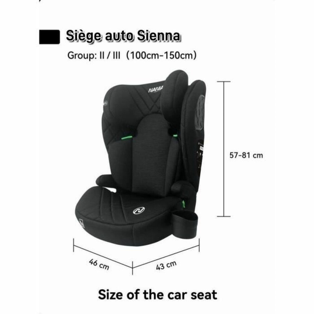 Car Chair Nania