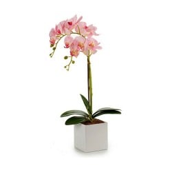 Plante décorative Ibergarden A18124-50-2WH Plastique Orchidée 18 x 47 x 14 cm (6 Unités)