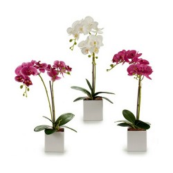 Dekorationspflanze Ibergarden A18124-50-2WH Kunststoff Orchidee 18 x 47 x 14 cm (6 Stück)