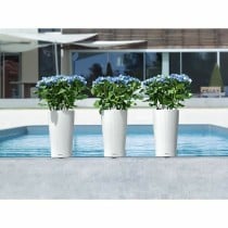 Plant pot Lechuza