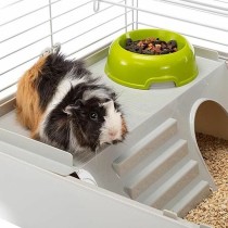 Cage Ferplast Metal/Plastic