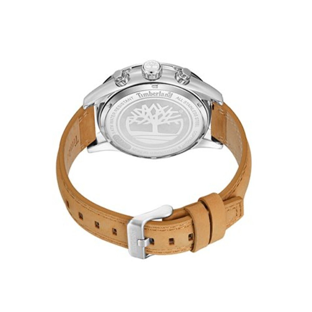 Men's Watch Timberland TDWGF2201002