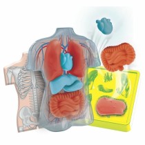 Jouet interactif pour bébé Clementoni