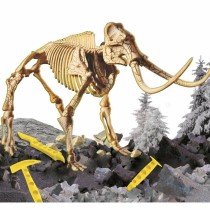 Jouet Educatif Lisciani Giochi I'm GENIUS Super Kit Mammoth