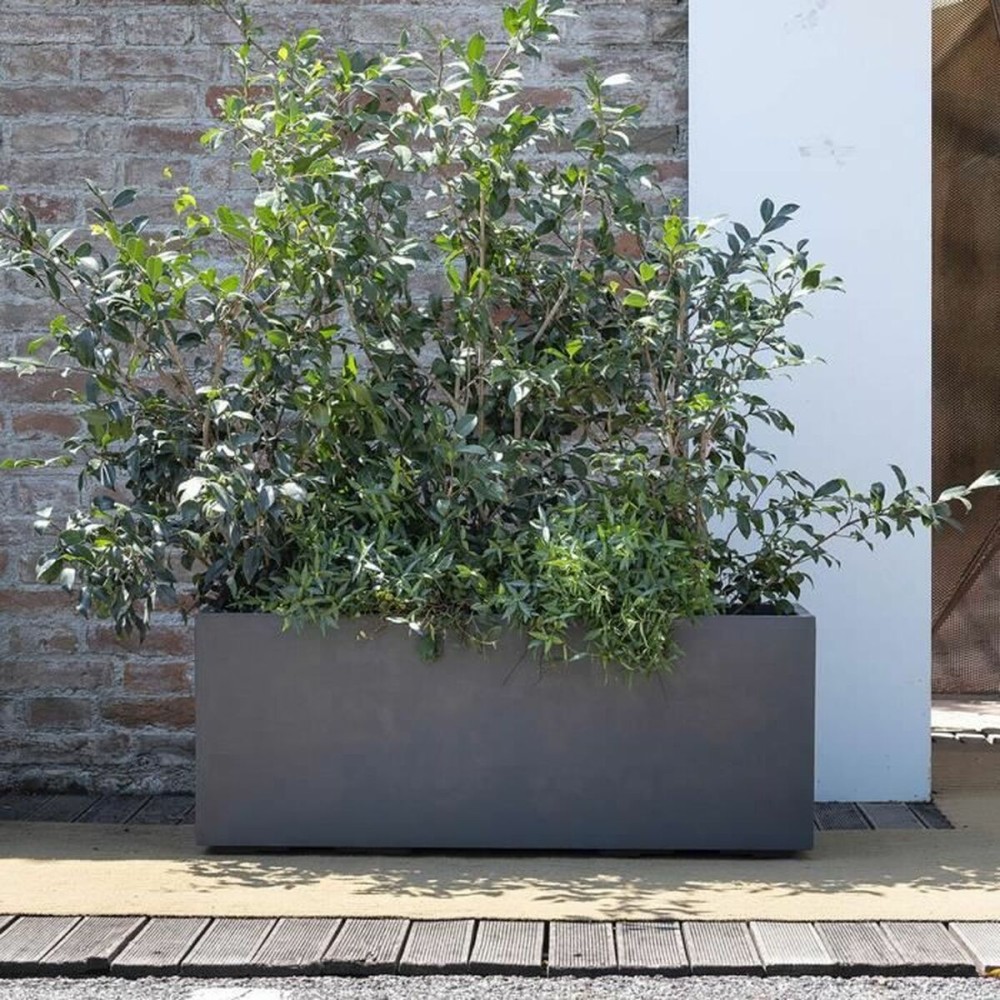 Pot Deroma Anthracite 99 cm Plastique Rectangulaire Moderne