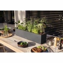Plant pot Lechuza