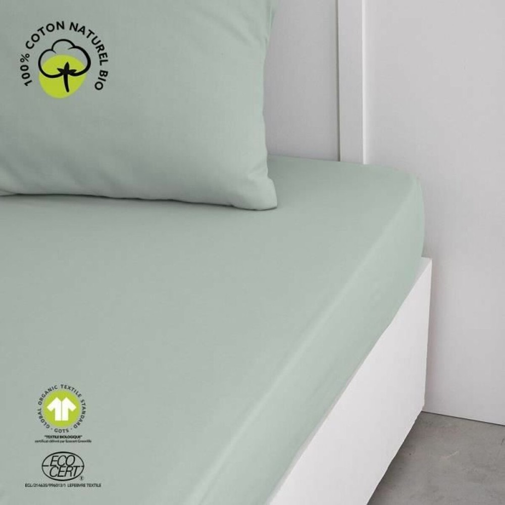 Fitted bottom sheet TODAY Green 160 x 200 cm