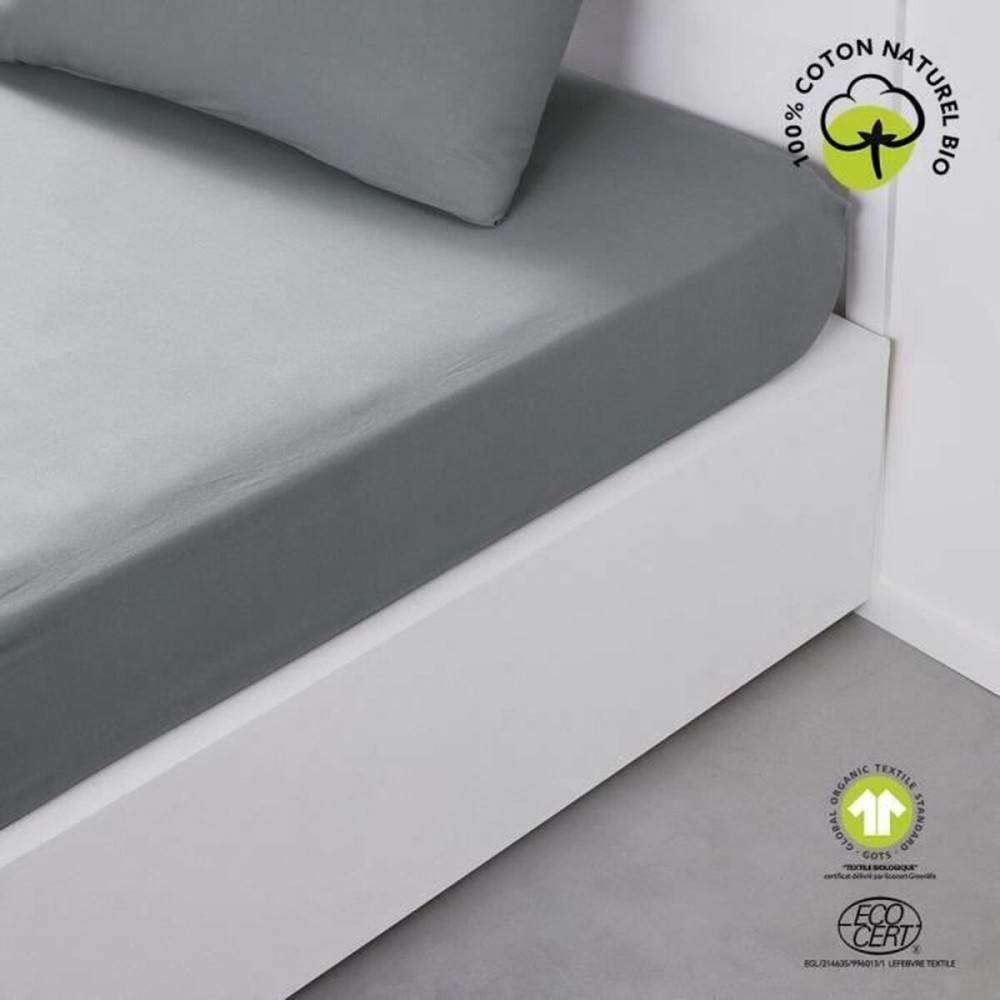 Drap housse TODAY Gris 160 x 200 cm