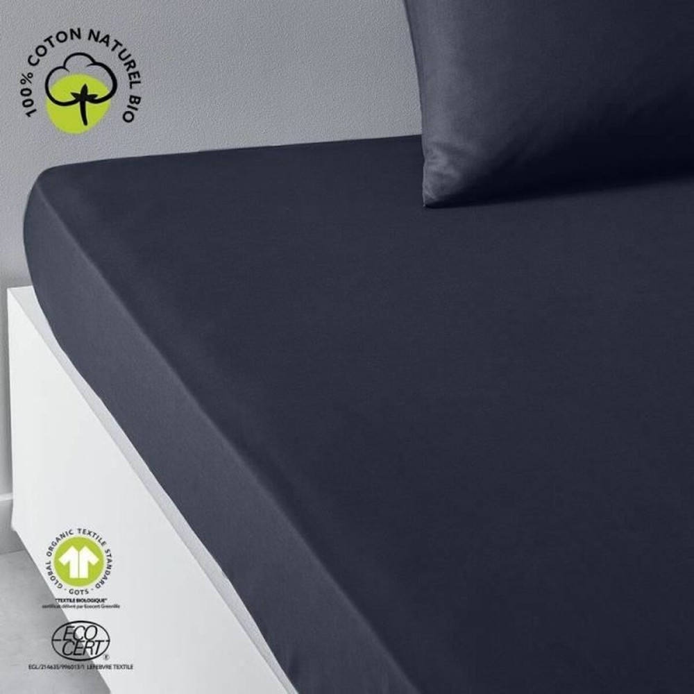 Fitted bottom sheet TODAY Navy Blue 160 x 200 cm