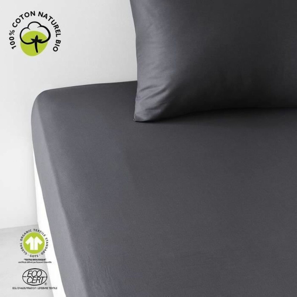 Fitted bottom sheet TODAY Black 160 x 200 cm