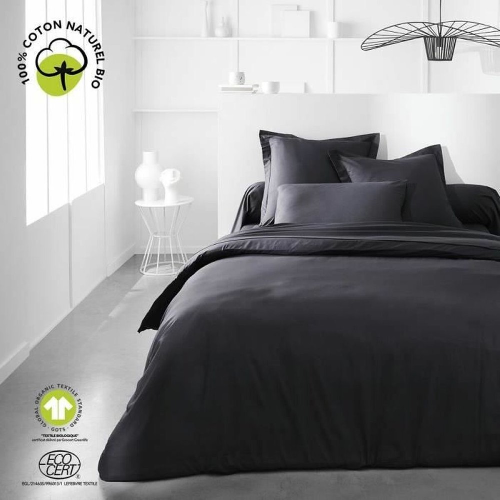 Fitted bottom sheet TODAY Black 160 x 200 cm