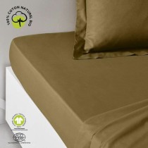 Fitted bottom sheet TODAY Brown 180 x 200 cm