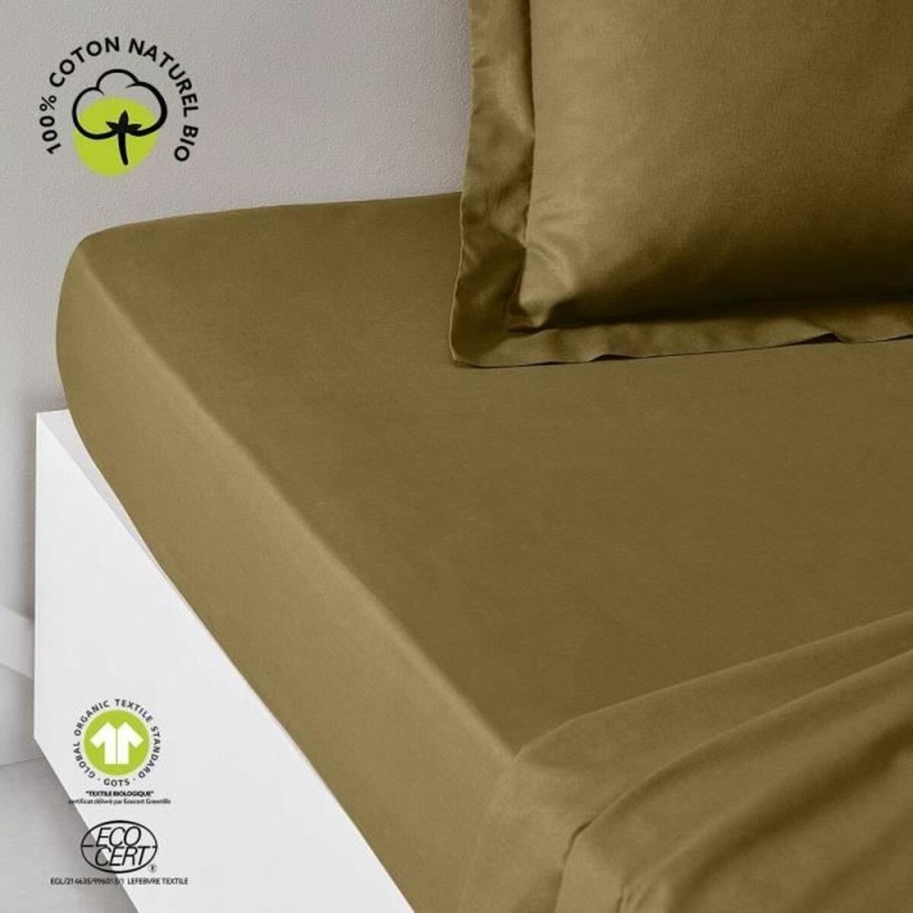 Fitted bottom sheet TODAY Brown 180 x 200 cm