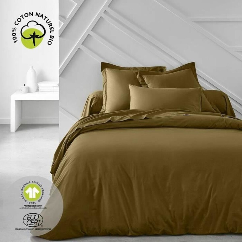Fitted bottom sheet TODAY Brown 180 x 200 cm