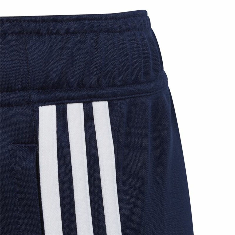 Pantalon de sport long Adidas Tiro 23 Club Bleu